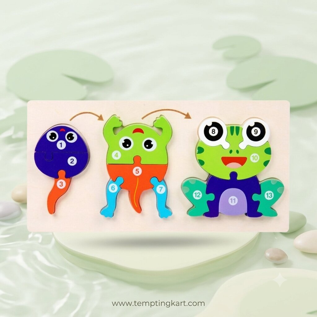 Wooden Life Cycle of Frog Puzzle – 3D Educational Toy for Kids