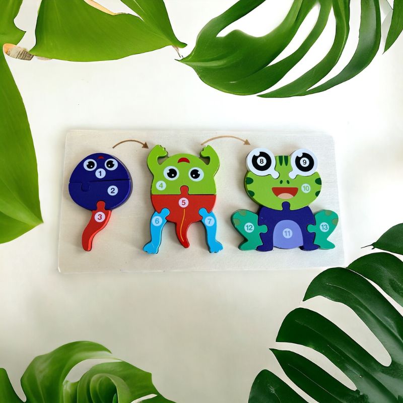 Wooden Life Cycle of Frog Puzzle – 3D Educational Toy for Kids