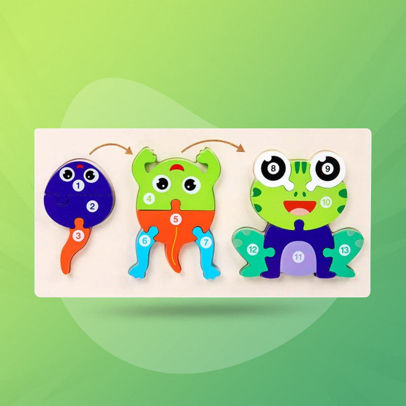 Wooden Life Cycle of Frog Puzzle – 3D Educational Toy for Kids