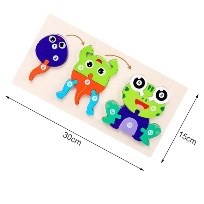 Wooden Life Cycle of Frog Puzzle – 3D Educational Toy for Kids