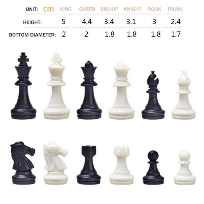 Foldable Chess For Kids
