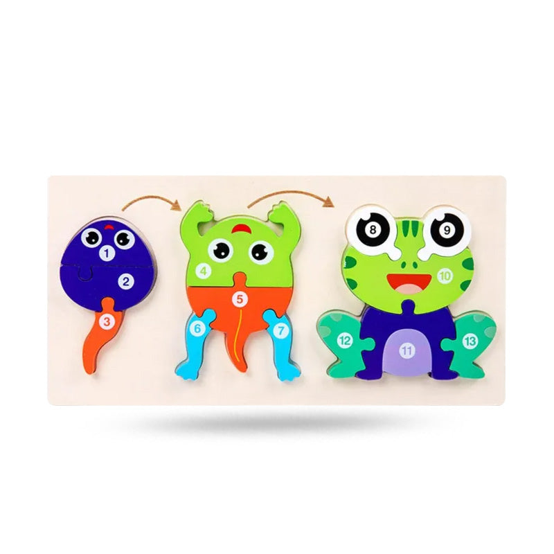 Wooden Life Cycle of Frog Puzzle – 3D Educational Toy for Kids